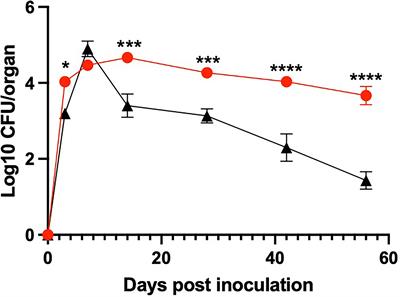 Contribution of a Novel Pertussis Toxin-Like Factor in Mediating Persistent Otitis Media